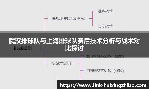 海星体育