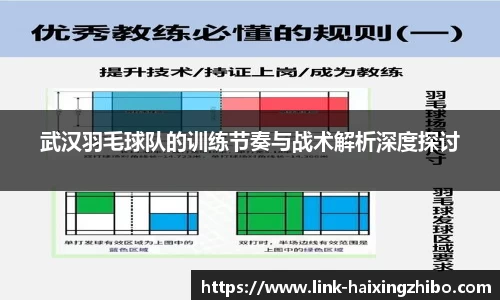 海星体育直播