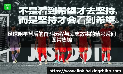 海星体育在线直播